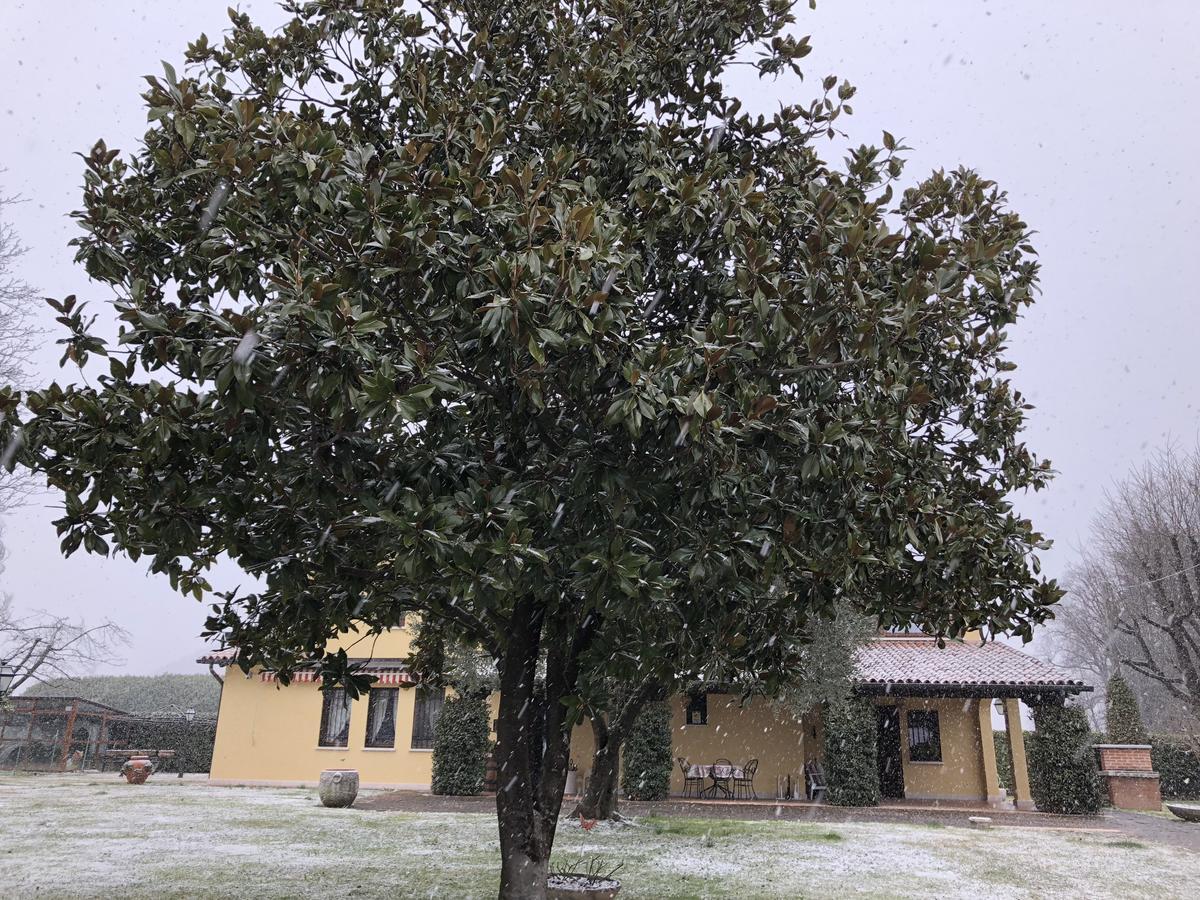 Le Tre Querce B&B Romano D'Ezzelino Eksteriør bilde